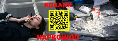 индика Можга