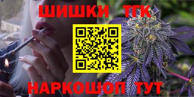 индика Можга