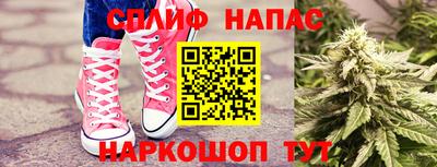 индика Можга