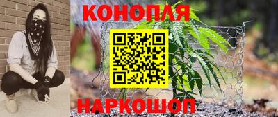 индика Можга