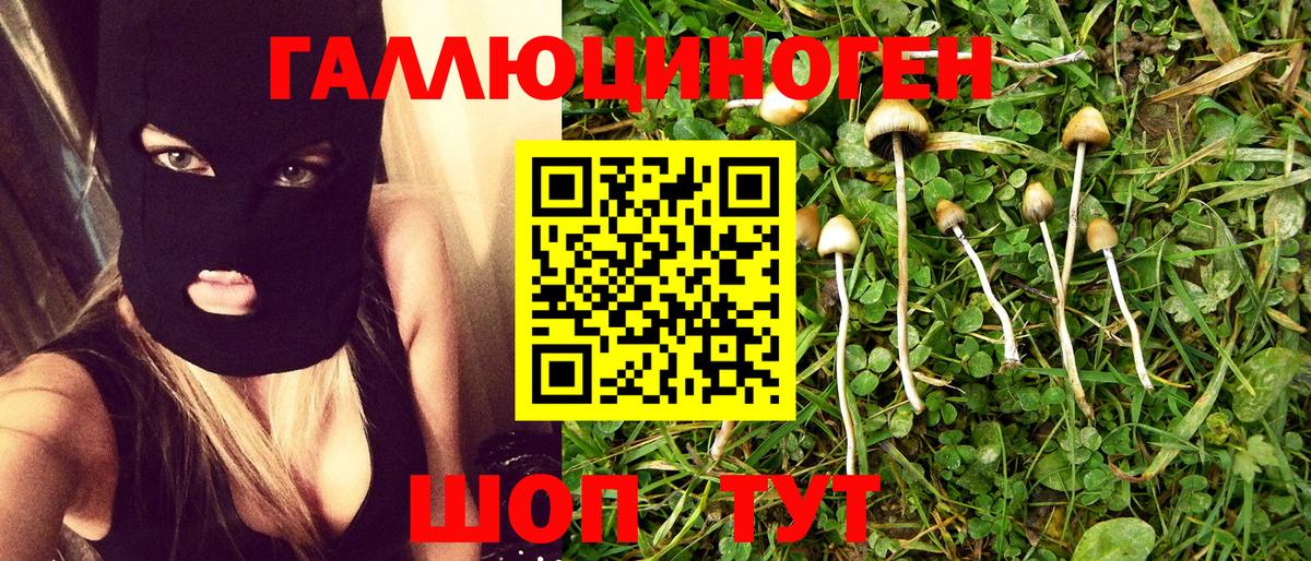 Томск  Псилоцибиновые грибы мицелий  Вход с VPN  Псилоцибиновые грибы GOLDEN TEACHER 